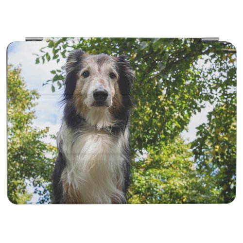 Pet photo dog beautiful Collie iPad Air Cover