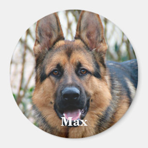 Pet Photo - Dog - Cat - Pet Memorial Magnet
