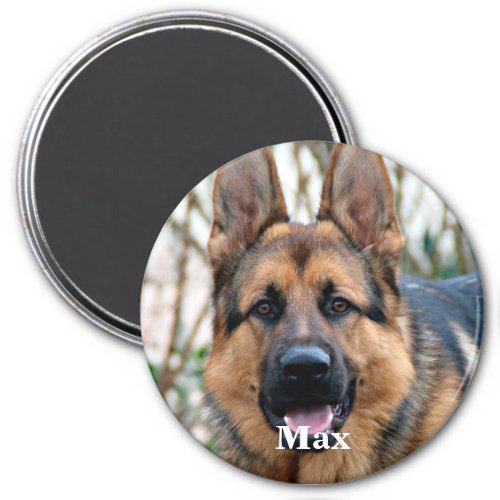Pet Photo _ Dog _ Cat _ Pet Memorial Magnet
