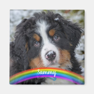 Pet Photo - Dog - Cat - Pet Memorial Magnet