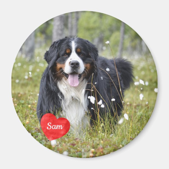 Pet Photo - Dog - Cat - Pet Memorial Magnet (Front)