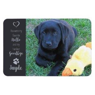 Pet Photo - Dog Photo - Cat Photo - Pet Memorial Magnet