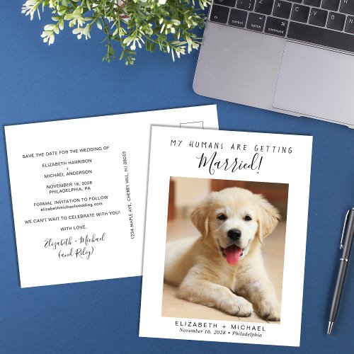 Pet Photo Engagement Save The Date Announcement Postcard