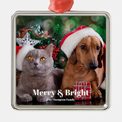 Pet Photo Family Name Merry and Bright Metal Ornament