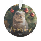 Pet Photo First Christmas Forever Home Gold Script