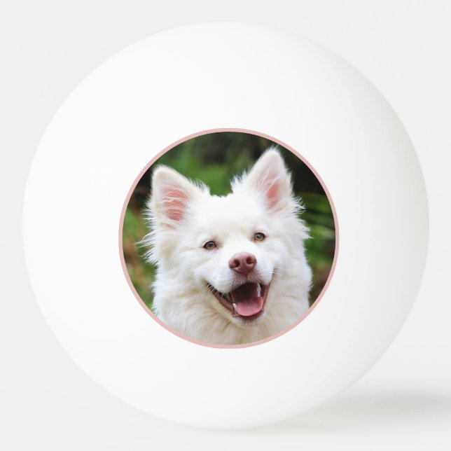 Pet Photo Framed Personalized Ping Pong Ball (Front)