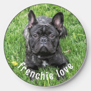 Pet Photo French Bulldog Wireless Charger