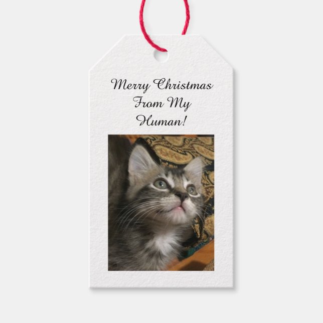Pet Photo Gift Tags (Front)