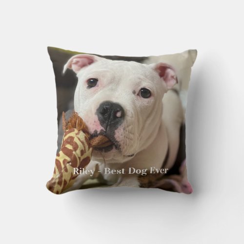 Pet Photo Gifts Dog Lover Pet Memorial Throw Pillow - Celebrate your best friend with a custom pet memorial pillow . This is the perfect gift for yourself, family or friends to honor those loved .  
We hope your photo pillow will bring you joy , peace , and happy memories . Best Dog Ever.
Customize with your own photos, and name  . 
See 'personalize this template' to change photo and name , and see 'Customize' for more custom options . Feel free to contact us if you have questions or ned help . COPYRIGHT © 2020 Judy Burrows, Black Dog Art - All Rights Reserved.
Pet Photo Gifts Dog Lover Pet Memorial Throw Pillow