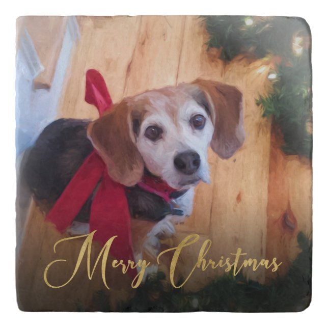 Pet Photo Gold Script Merry Christmas Trivet (Front)