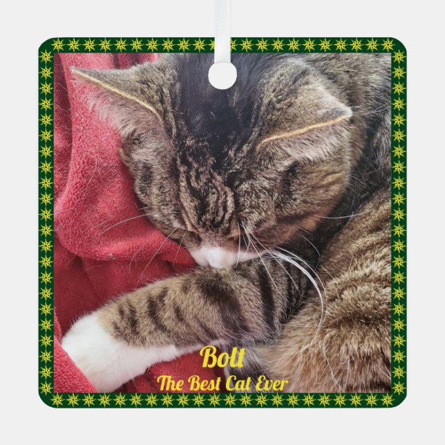 Pet Photo Green Border Best Cat Ever and Name  Metal Ornament (Front)