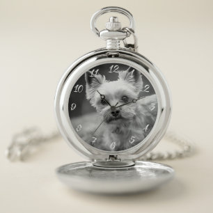 Pet Photo Keepsake Gift Pocket Watch