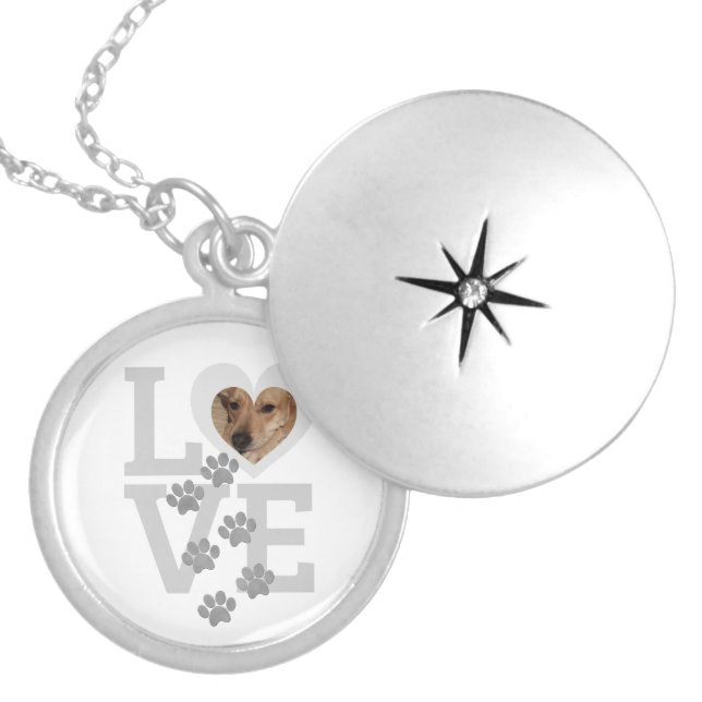 Pet Photo Keepsake Love Heart Silver Paw Prints Locket Necklace (Front)