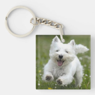 Pet Photo Keychain Gift Dog or Puppy Mom