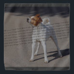 PET Photo ✨ Lovely Custom  Bandana<br><div class="desc">PET Photo Lovely– epic Picture PET Photo ✨ Lovely Custom Capture your most cherished moments with this stunning PET photo lovely ! 💖 Create a heartwarming keepsake with epic of your favorite photos, beautifully arranged in a stylish design. Whether you're celebrating a PET reunion, sharing vacation memories, or sending a...</div>