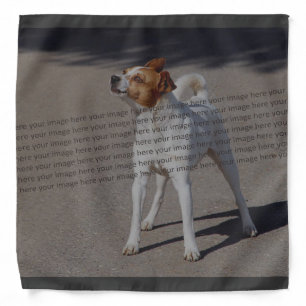 PET Photo ✨ Lovely Custom Bandana