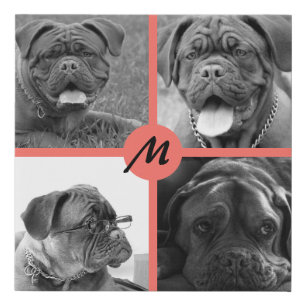 PET Photo ✨ Lovely Custom  Faux Canvas Print