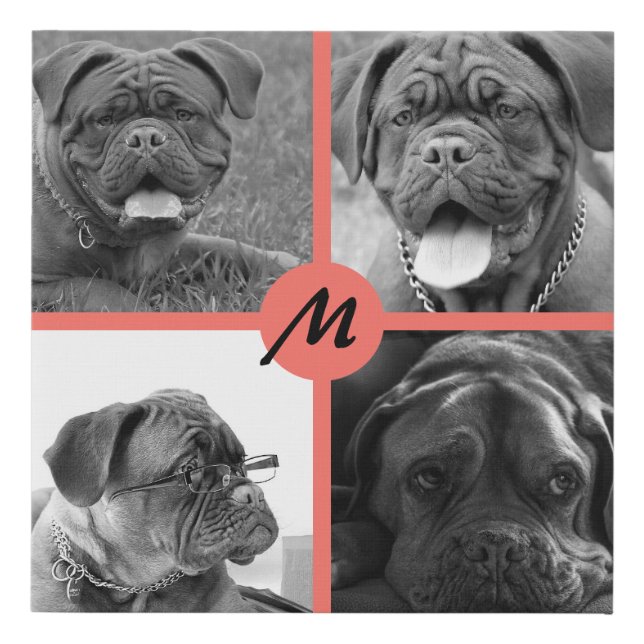  PET Photo ✨ Lovely Custom  Faux Canvas Print (Front)