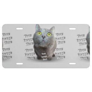 PET Photo ✨ Lovely Custom License Plate