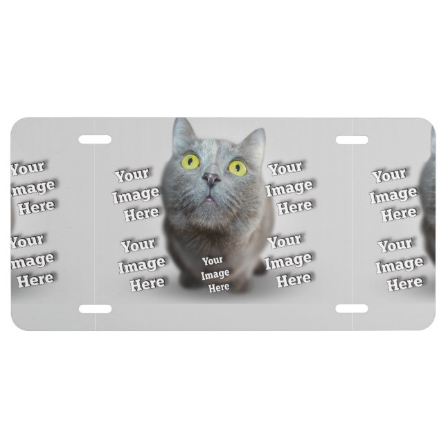PET Photo ✨ Lovely Custom  License Plate (Front)