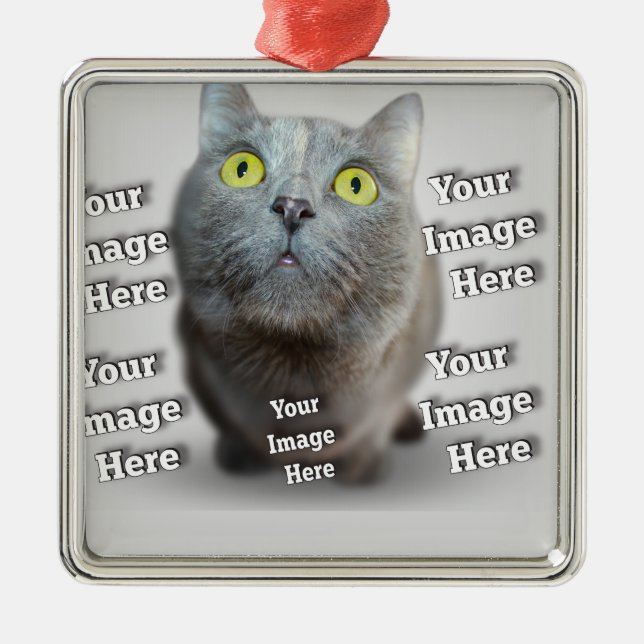 PET Photo ✨ Lovely Custom  Metal Ornament (Front)