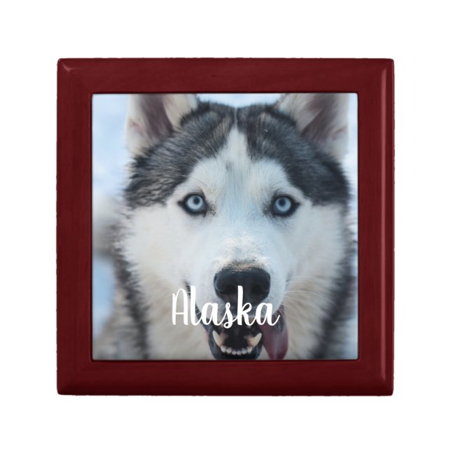 Pet Photo Memorial - Add Your Photo - Pet Memorial Gift Box (Front)
