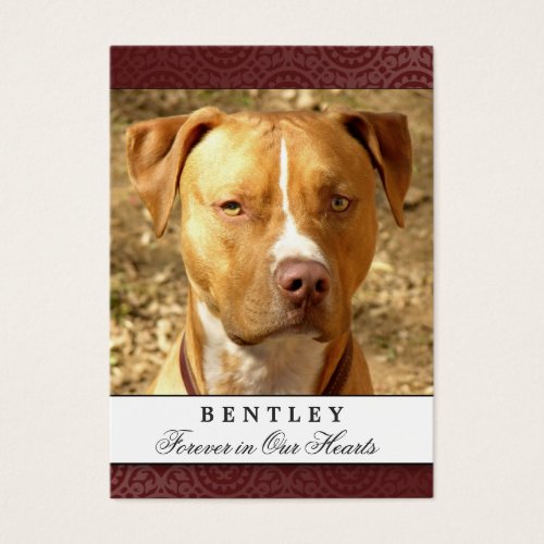 Pet Photo Memorial Card Maroon Red Prayer for Pets