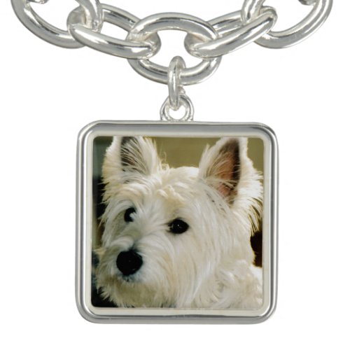 Pet Photo Memorial Custom Charm Charm Bracelet