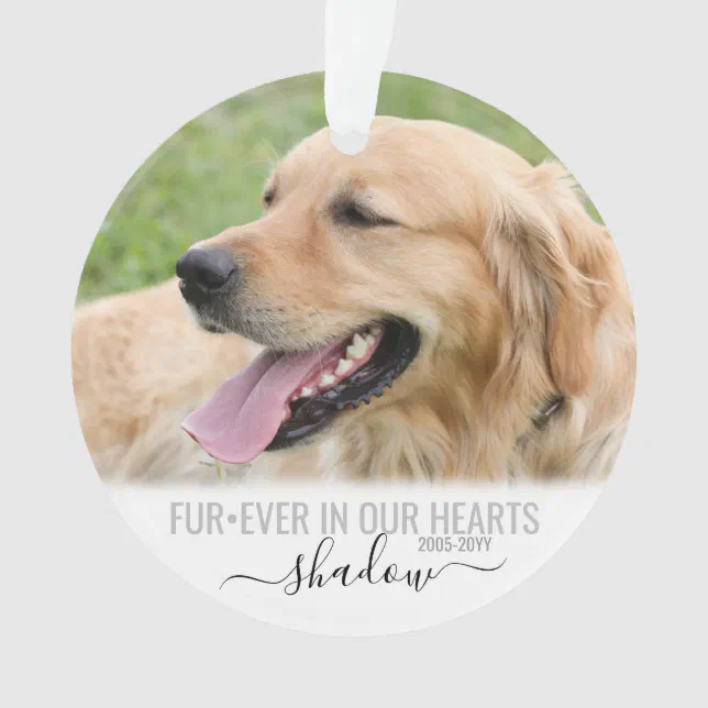 Pet Photo Memorial Forever in our Hearts Ornament | Zazzle