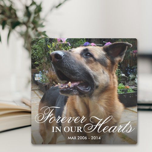 Pet Photo Memorial Gift  Forever in our Hearts Plaque