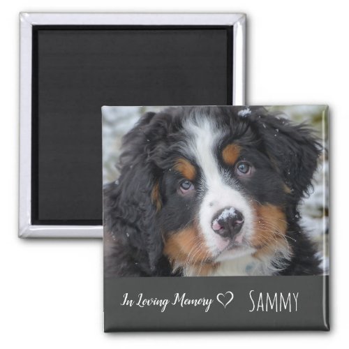 Pet Photo Memorial _ Pet Loss _ In Loving Memory Magnet