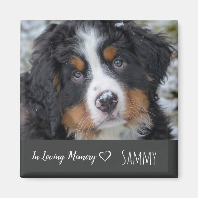 Pet Photo Memorial - Pet Loss - In Loving Memory Magnet (Front)