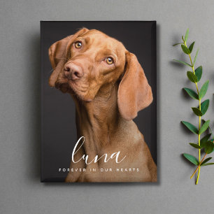 Pet Photo Memorial Remembrance Tribute Button