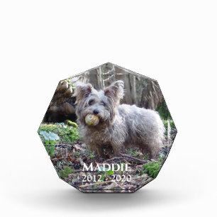 Pet Photo Memorial with Name and Date Block