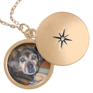 Pet Photo Memory Locket Gold Finish Necklace