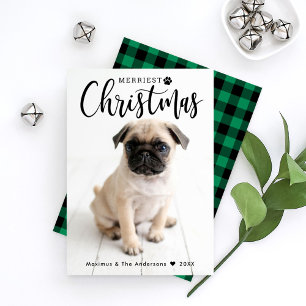 Pet Photo Merriest Christmas Script Plaid Back Holiday Card