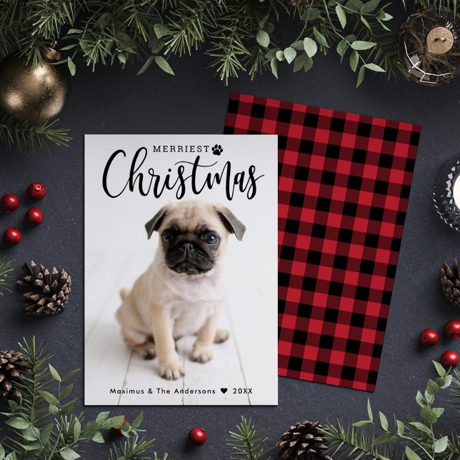 Pet Photo Merriest Christmas Script Plaid Back Holiday Card (Creator Uploaded)