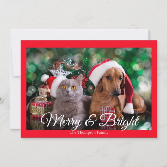 Pet Photo Merry and Bright Holiday Card (Front)