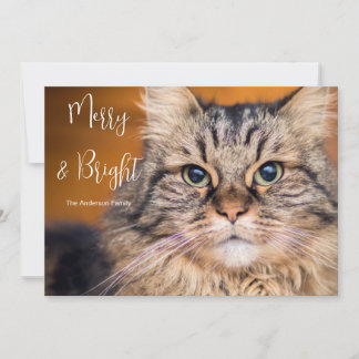 Pet Photo Merry and Bright Holiday Card
