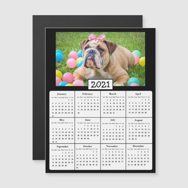 Pet Photo Mini 2021 Calendar Magnetic Invitation (Front/Back)