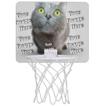 Pet Photo Mini Basketball Hoop by Zazzimsical at Zazzle