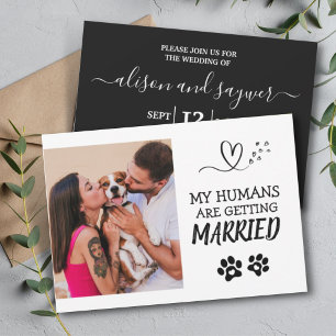 Pet Photo Modern Simple Black and White Wedding Invitation