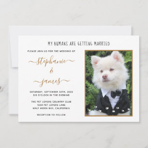 Pet Photo My Humans Getting Married Wedding Invitation