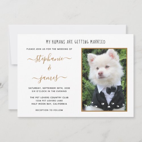 Pet Photo My Humans Getting Married Wedding Invitation