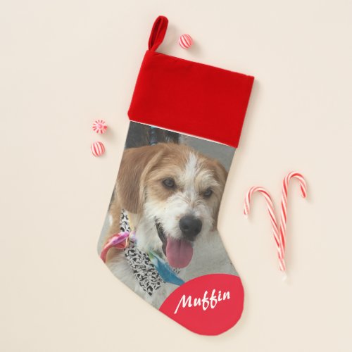Pet Photo  Name Customize Christmas Stocking