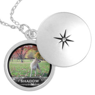 Pet Photo Name Keepsake Gift for Animal Lovers Locket Necklace