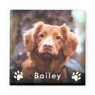 Pet Photo Name Magnet Pet Photo Name Magnet