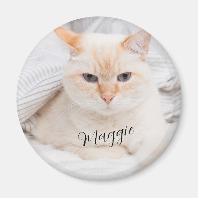 Pet Photo Name  Magnet (Front)