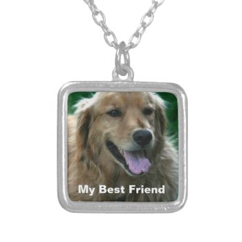 Pet Photo Necklace Template by Dmargie1029 at Zazzle