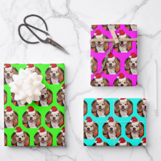 Pet Photo Neon Colors Santa Hats on Head Christmas Wrapping Paper Sheets
